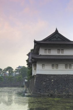  Japon tarzı kale Tokyo İmparatorluk Sarayı 'nda yer almaktadır.