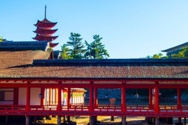 Japonya Miyajima 'daki güzel Itsukushima Tapınağı