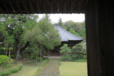 Antik tapınak binası, Asya kültürel mimarisi