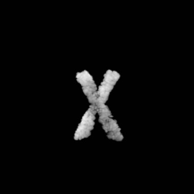 Siyah arkaplanda beyaz alfabe harfi X.               