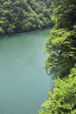 Dağdaki yeşil orman ve nehir