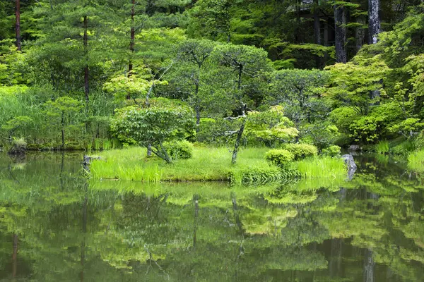 Étang Avec Arbres Verts Buissons Dans Parc Été — Photo