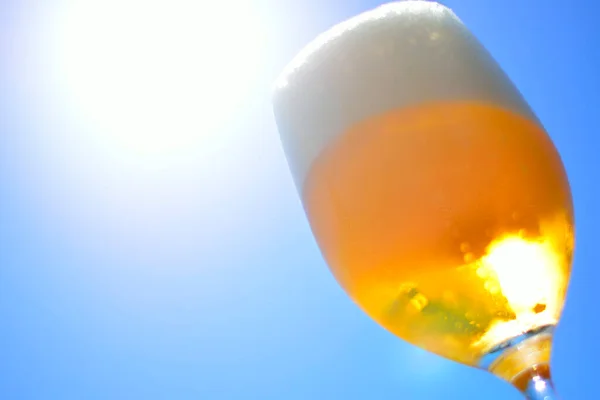 Sol Cerveza Vaso Sobre Fondo Azul —  Fotos de Stock