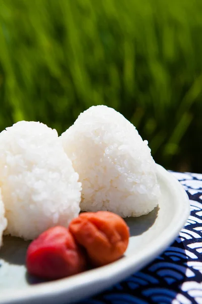 Klebriger Reis Weißen Teller Vor Dem Feld — Stockfoto