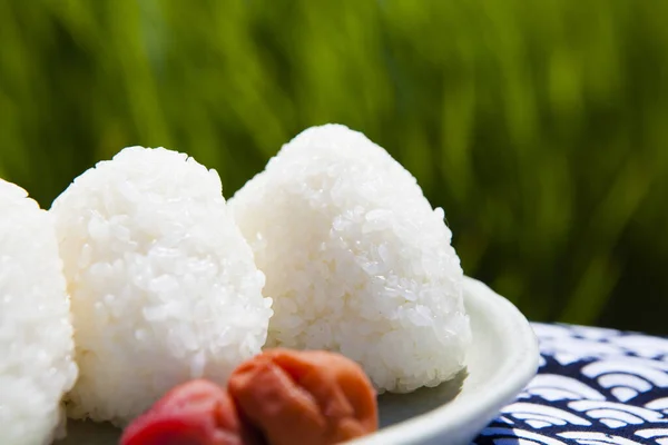 Arroz Pegajoso Plato Blanco Delante Del Campo —  Fotos de Stock