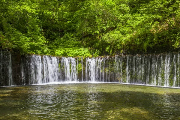森の美しい滝 自然の背景 緑の森の滝 — ストック写真