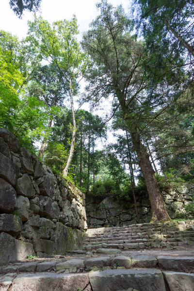 old stone staircase in beautiful park with green trees         
