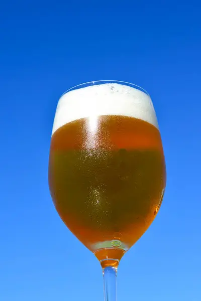 Glas Frisches Bier Mit Schaum Vor Blauem Himmel — Stockfoto