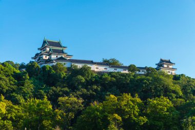 Antik tapınak binası, Asya kültürel mimarisi