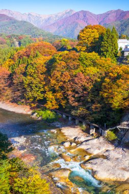 Dağlardaki renkli sonbahar ağaçları ve nehir manzarası
