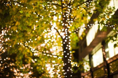 Noel 'de sokakta ışıklandırılmış ağaçların yakın plan çekimi