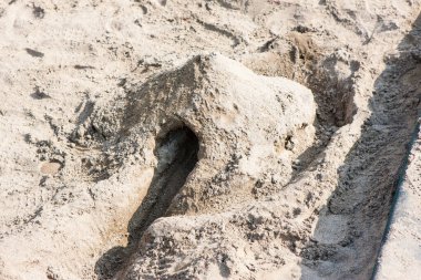 Kumsal yüzeyindeki hayvana benzeyen kum heykeli.