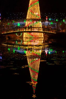Japonya 'da akşam kentinde noel ağacı 