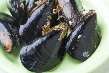 Tabakta pişmiş midyeler.