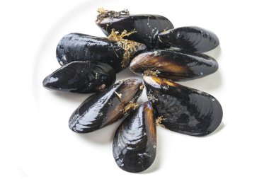 Beyaz arkaplanda midyeler 