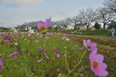 New York şehrinin güzel manzarası.
