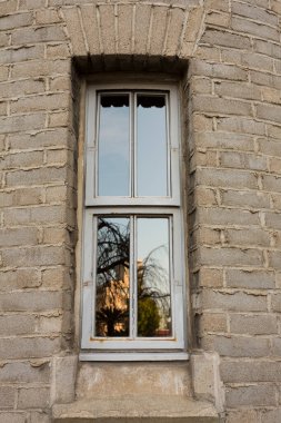 Dikdörtgen pencereli eski tuğla duvar dışarıdaki ağaç dallarını yansıtıyor