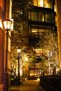 Noel 'de sokakta ışıklandırılmış ağaçların yakın plan çekimi