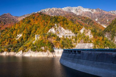 Sonbahar ağaçları olan bir dağ. 