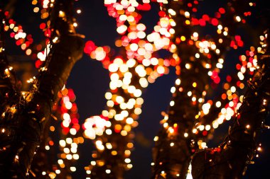Geceleri şehir caddesinde parlak noel ışıkları olan ağaçlar.             