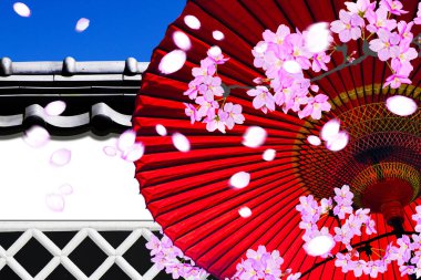 Japon geleneksel kirazlı sakura ve şemsiyesi.