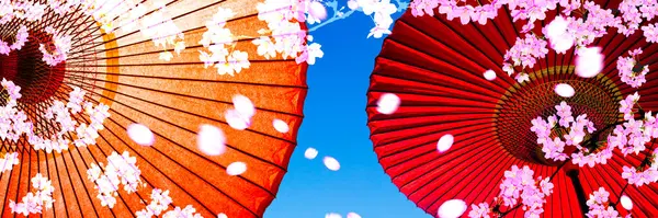 Japanische Traditionelle Regenschirme Asiatische Kailture Konzept Illustration — Stockfoto