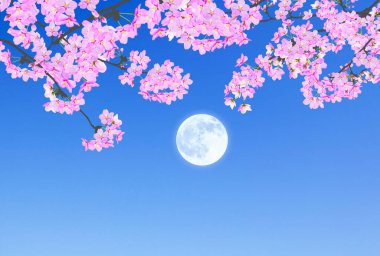 Dolunaylı mavi arka planda güzel pembe çiçekler