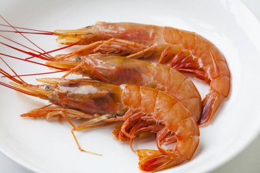 Beyaz arka planda haşlanmış karides. deniz ürünleri.