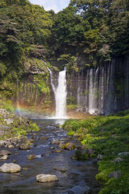 Ormanda güzel bir şelale