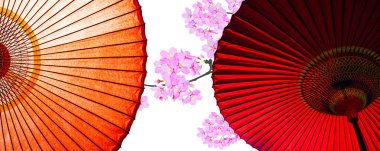 Japon geleneksel şemsiyeleri, Asyalı cailture konsepti.