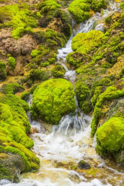 Yosunlu dağlarda akan şelale