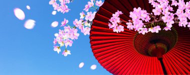 Japon geleneksel kirazlı sakura ve şemsiyesi.