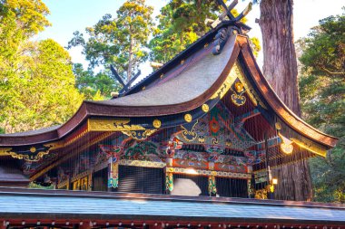 Kyoto, Japonya 'daki büyük tapınağın güzel tapınağı.