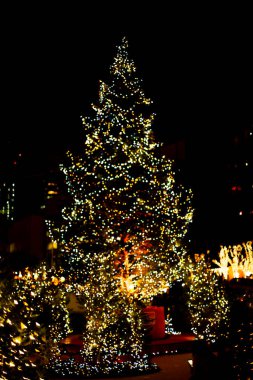 Karanlık gökyüzü arka planında aydınlatılmış güzel Noel ağacı