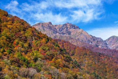 Sonbahar boyunca dağ manzarası