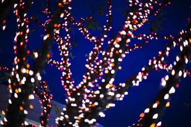 Bokeh ışıkları ile soyut arkaplan