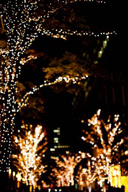 Gece vakti ağaçta Noel ışıkları