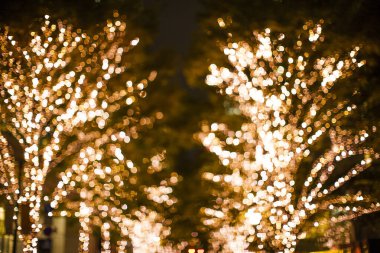 Gece vakti ağaçta Noel ışıkları