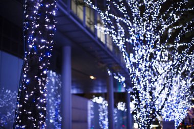 Noel 'de sokakta ışıklandırılmış ağaçların yakın plan çekimi
