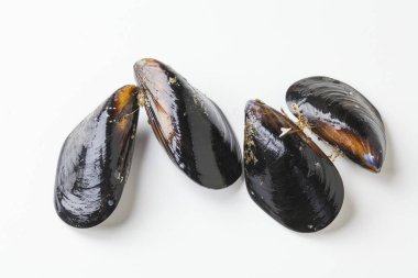 Beyaz arkaplanda midyeler 