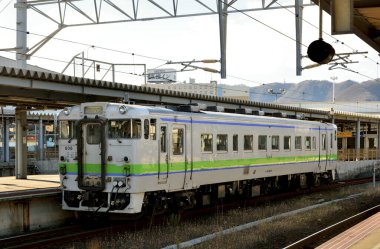 Kalabalık tren istasyonunda modern trenler, gündüz görüşü 