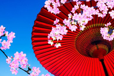 Mavi gökyüzüne karşı Sakura çiçekli kırmızı Japon şemsiyesi 