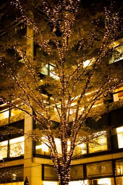 Noel ışıkları ve süslemeler ağaçta, gece şehrinde sokakta.       