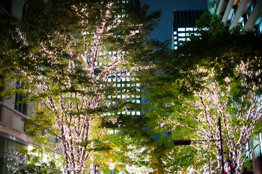 Geceleri şehrin modern binası. 