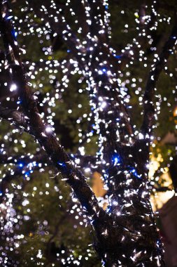 Bokeh ışıkları ile soyut arkaplan