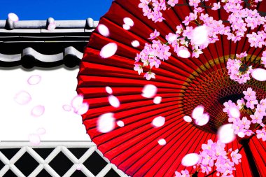 Japon geleneksel kirazlı sakura ve şemsiyesi.