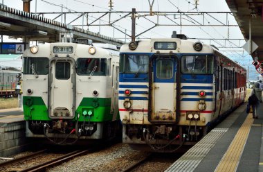 Kalabalık tren istasyonunda modern trenler, gündüz görüşü 