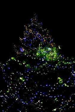 Karanlık gökyüzü arka planında aydınlatılmış güzel Noel ağacı