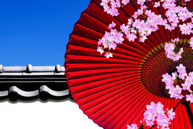 Japon geleneksel kirazlı sakura ve şemsiyesi.