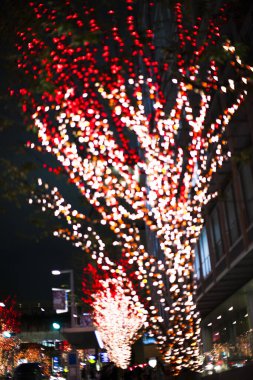Noel ağacının bulanık arkaplanı ve gece ışıkları. 